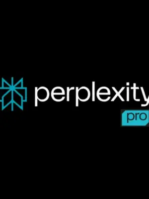 Perplexity Pro
